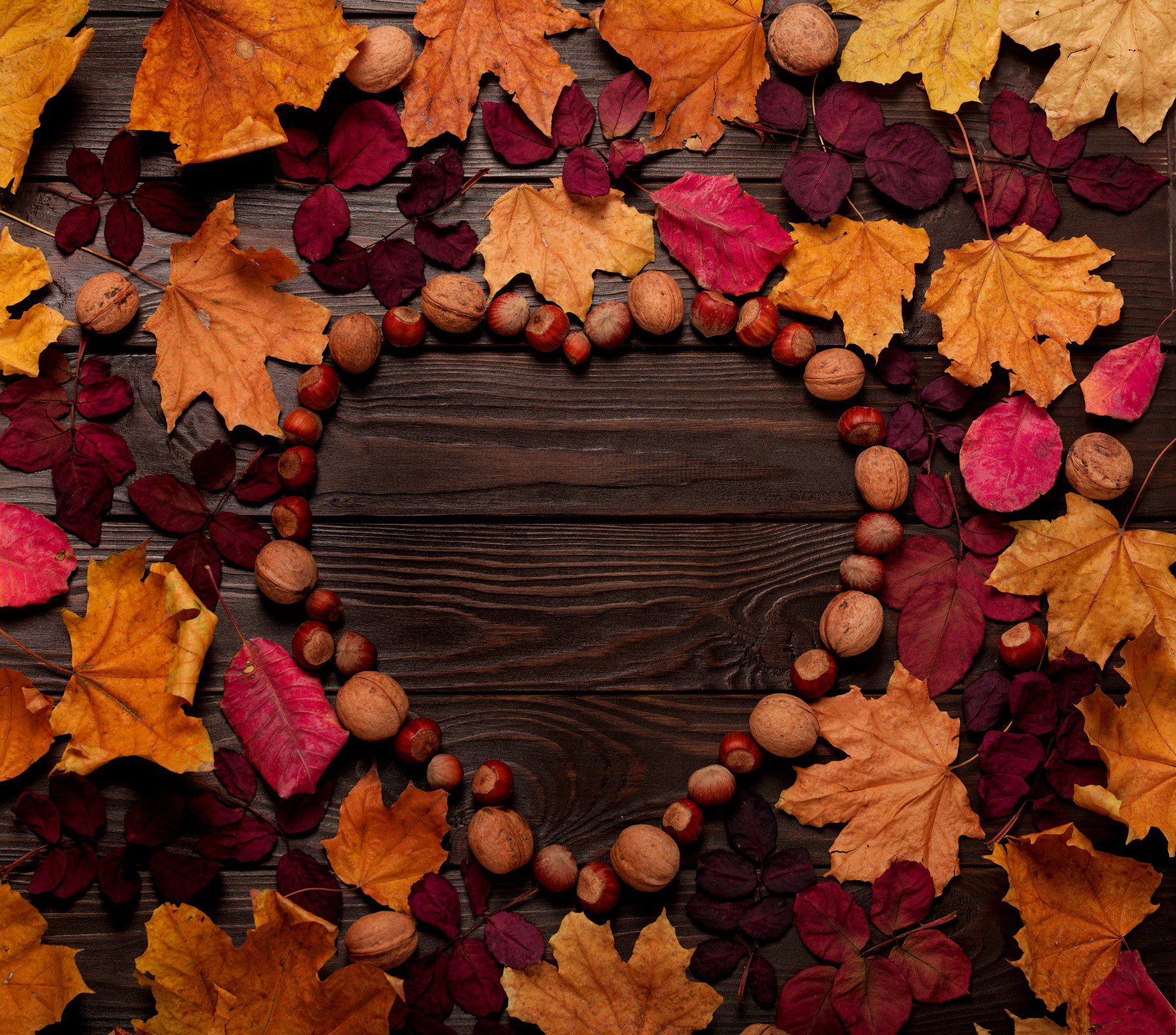 Flat lay frame in the form of a heart from autumn crimson and yellow leaves, hazelnuts and walnuts on a dark wooden background. Selective focus.