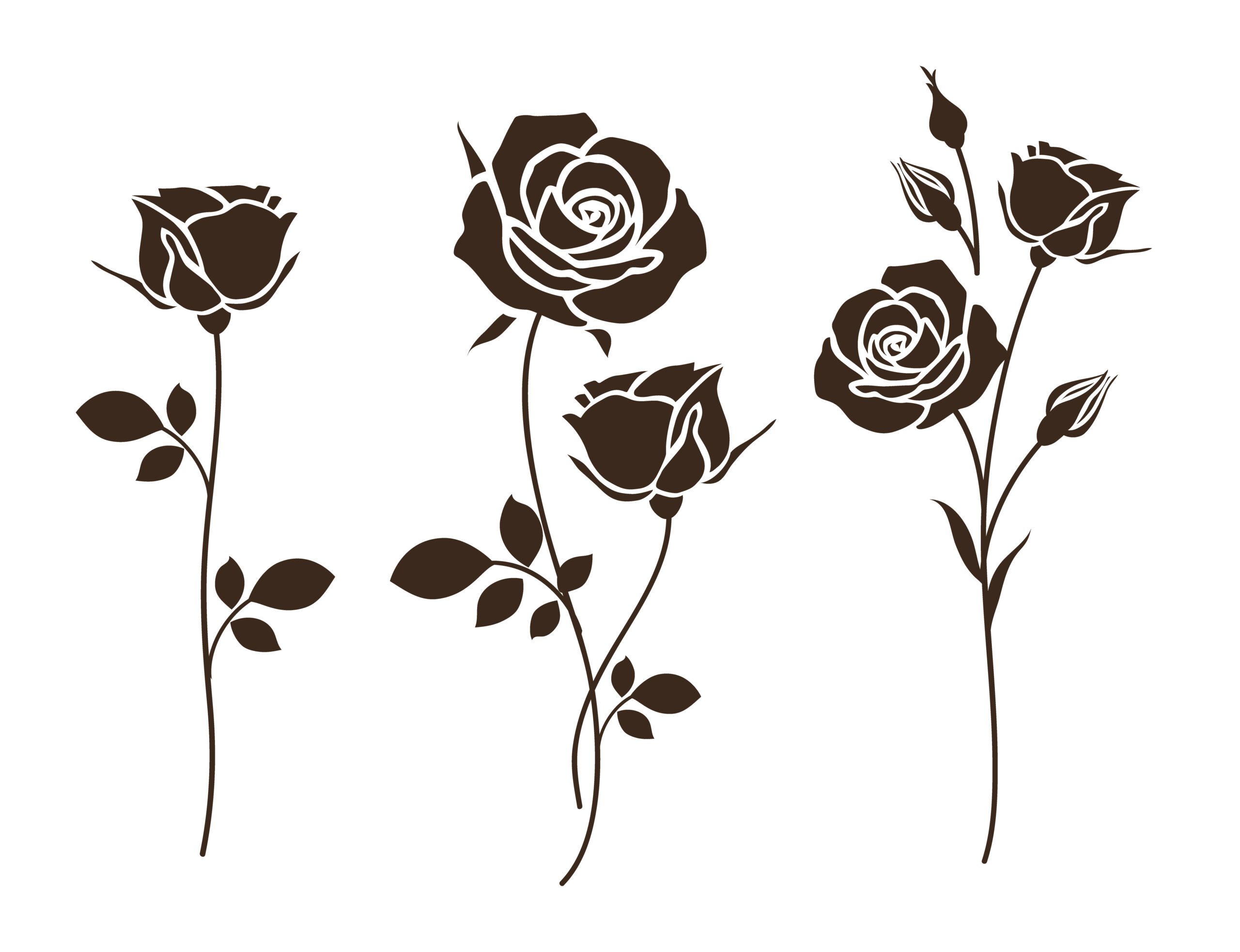 Set of decorative rose with leaves. Flower silhoutte.