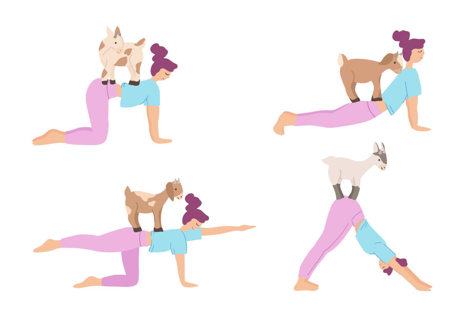 Set of Young women practicing goat yoga. Cute girl characters performing yoga with animals. Vector illustration isolated on white background. Warming up, stretching. Healthy lifestyle concept..