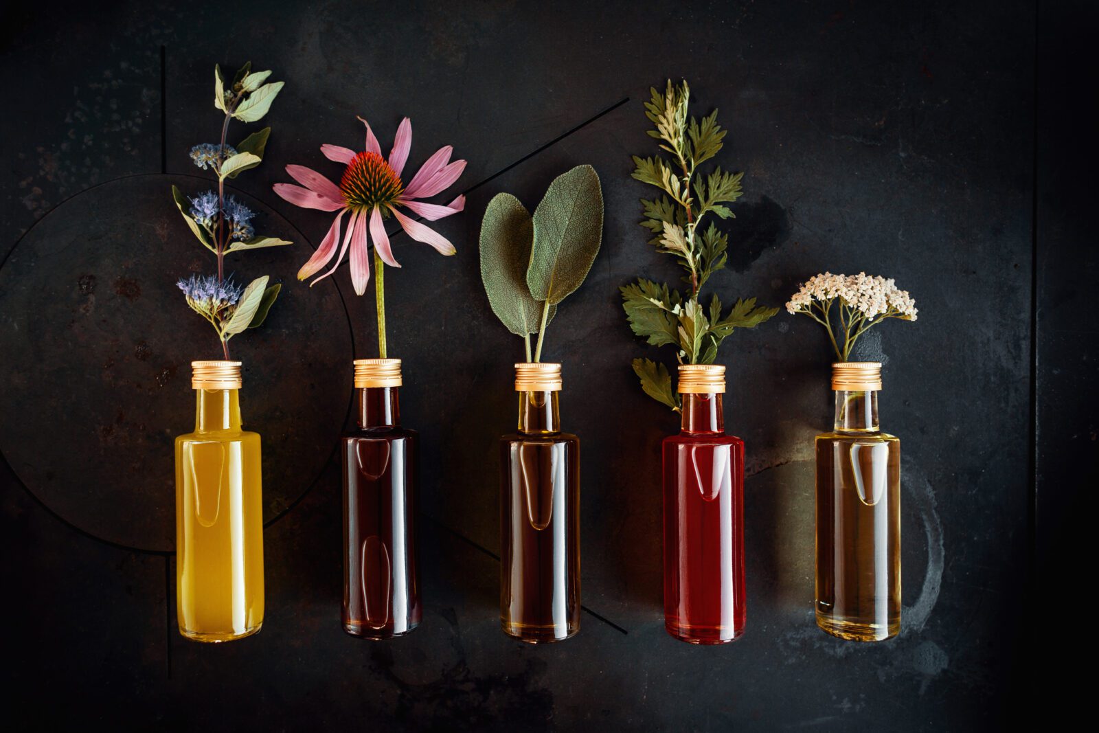 Various herbal oils with flowers decorated on a dark background
